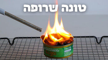 כך תכינו טונה שרופה בבית